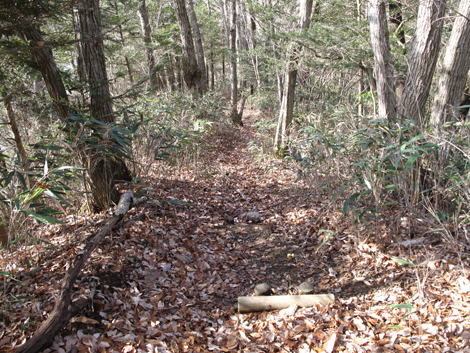 20161229hike (232)